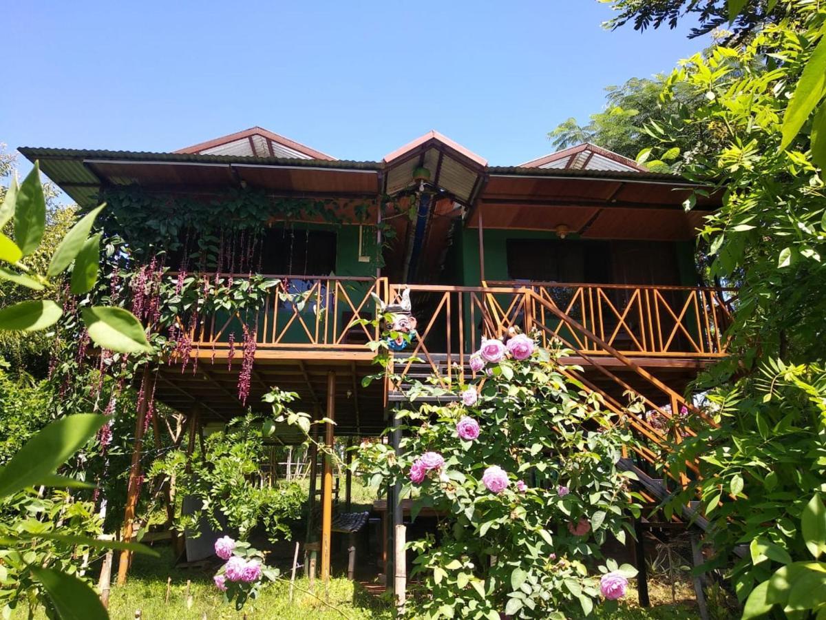 Mist Valley Hotel Masinagudi Bagian luar foto