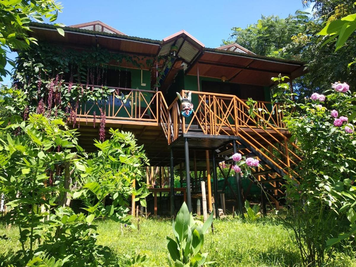 Mist Valley Hotel Masinagudi Bagian luar foto