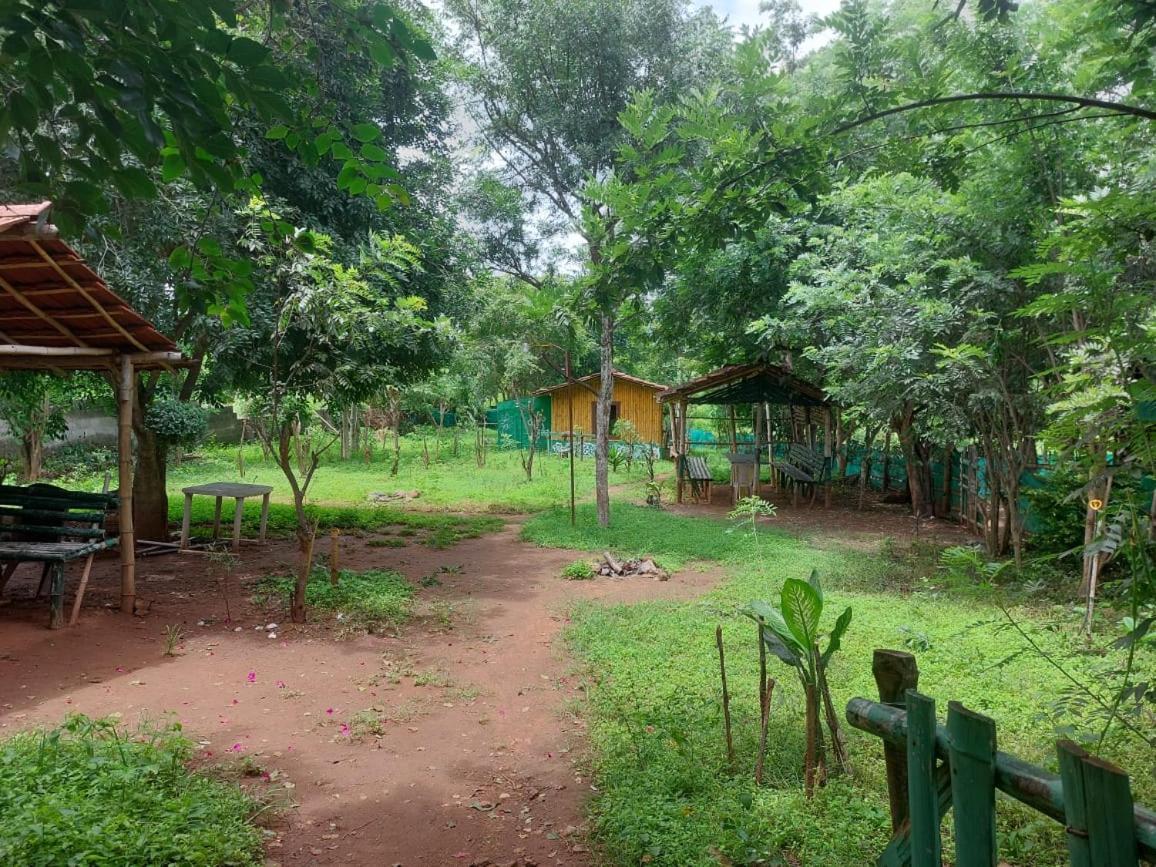 Mist Valley Hotel Masinagudi Bagian luar foto
